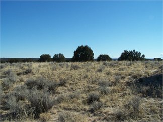 Apache County