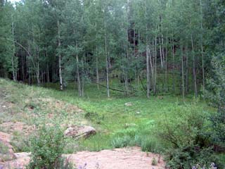 Teller County