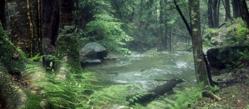 Forest County, PA