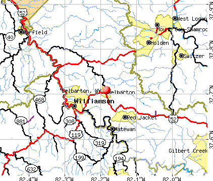 Mingo County map