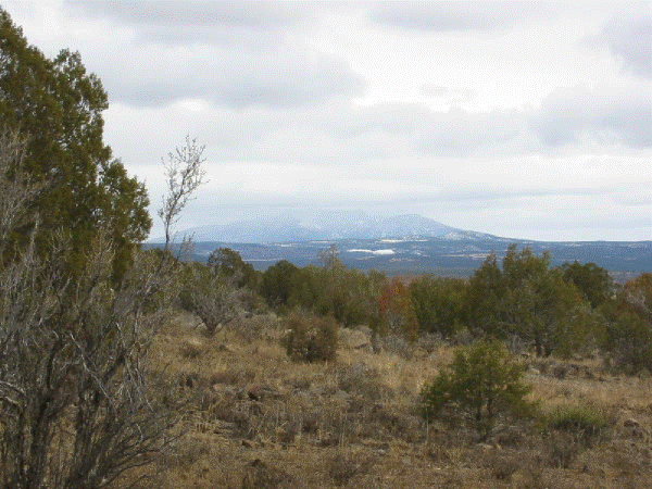 Kaibab Estates