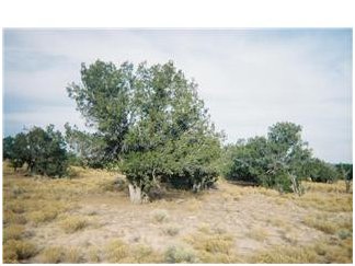 Pinal County