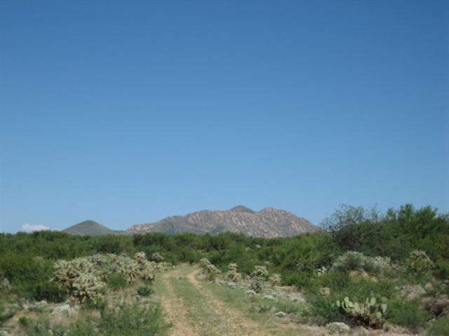 Pima County