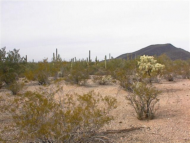 Pinal County
