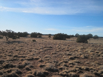 Apache County