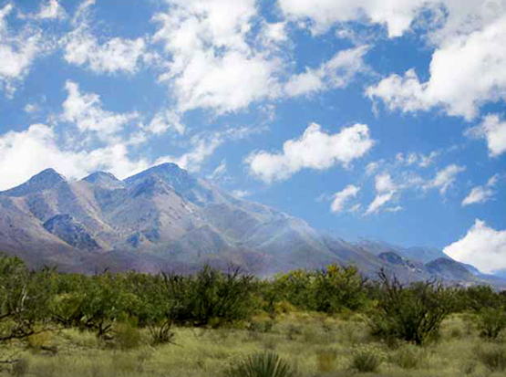 Arizona Sunsites