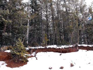 Teller County